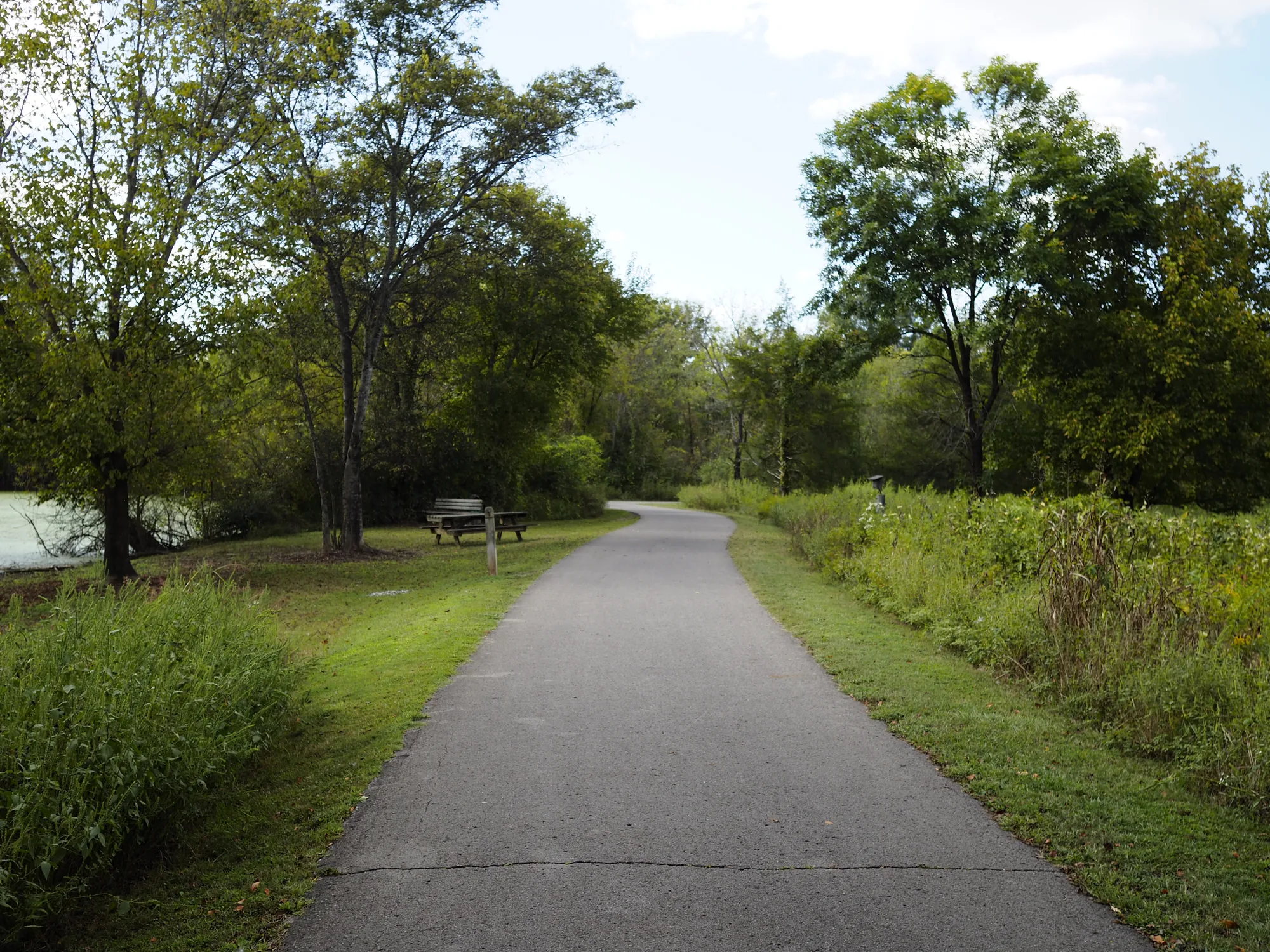 A paved greenway path running between trees, a picnic table and tall meadow grass